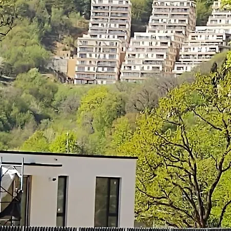 Seasons Sunrise - Nature & View *