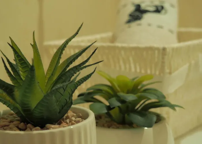 Seasons Sunrise - Nature & View Appartamento